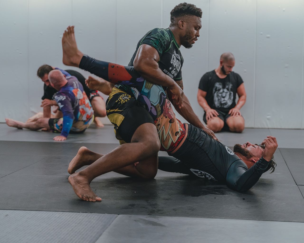 Bjj Gis